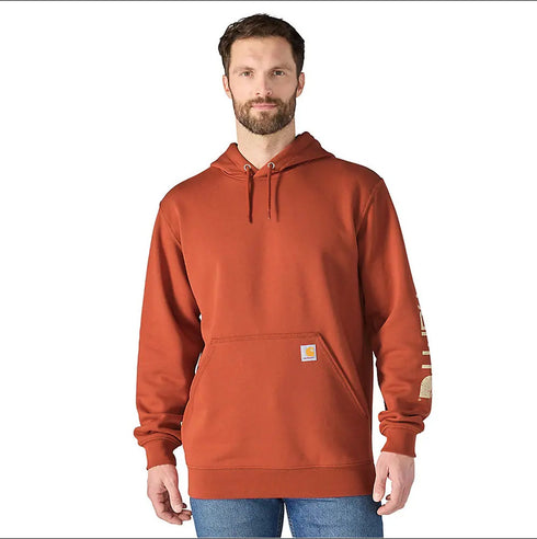 CAR SIGNATUR SLEVE LOGO SWTSHT